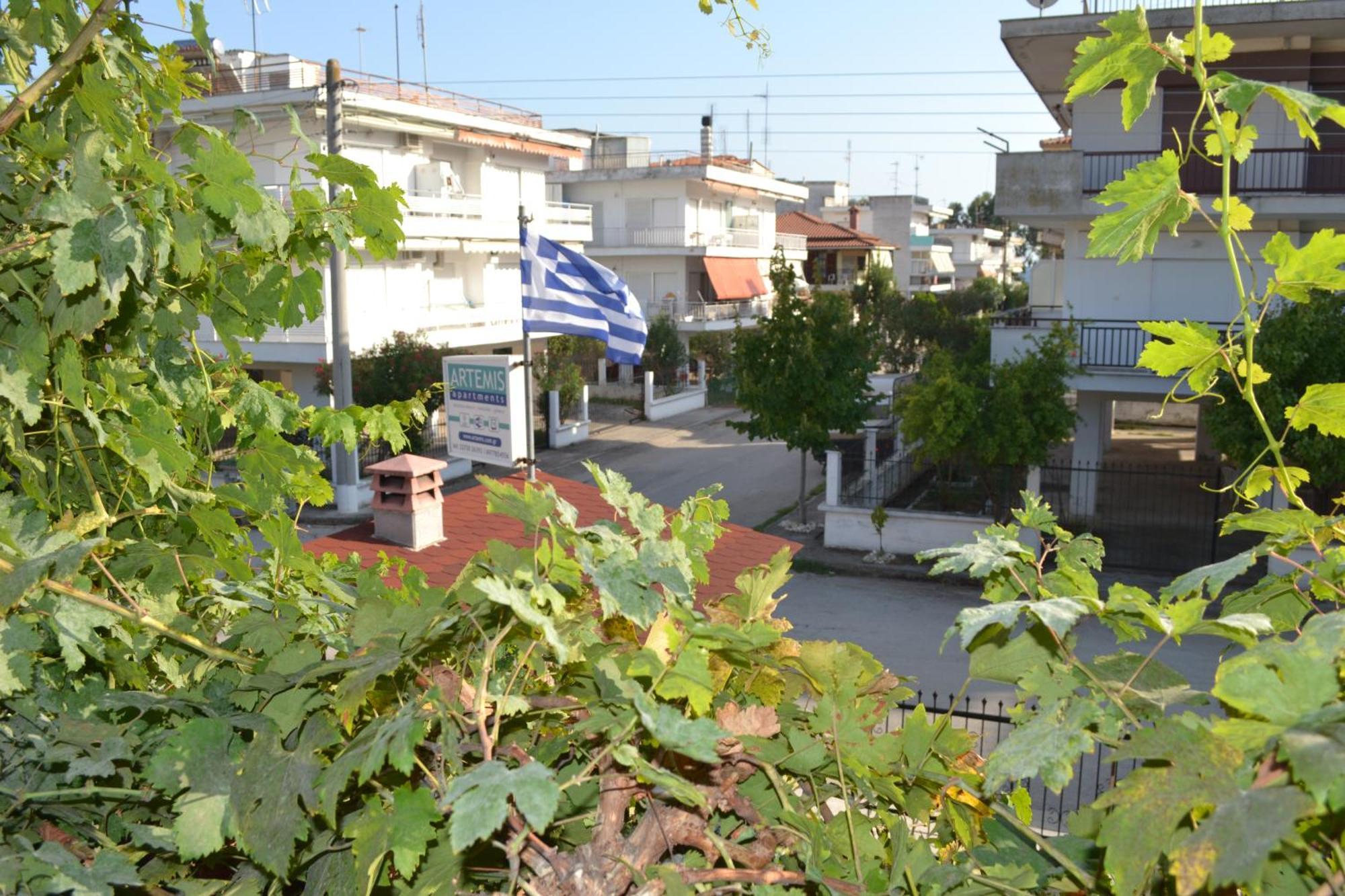 פראליה דיוניסיו Artemis Apartments חדר תמונה